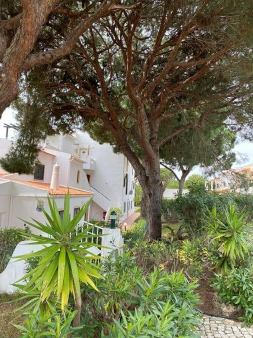 Albufeira Falesia Beach Apartment מראה חיצוני תמונה